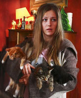Смотреть Онлайн Отдам котят в хорошие руки [2012]